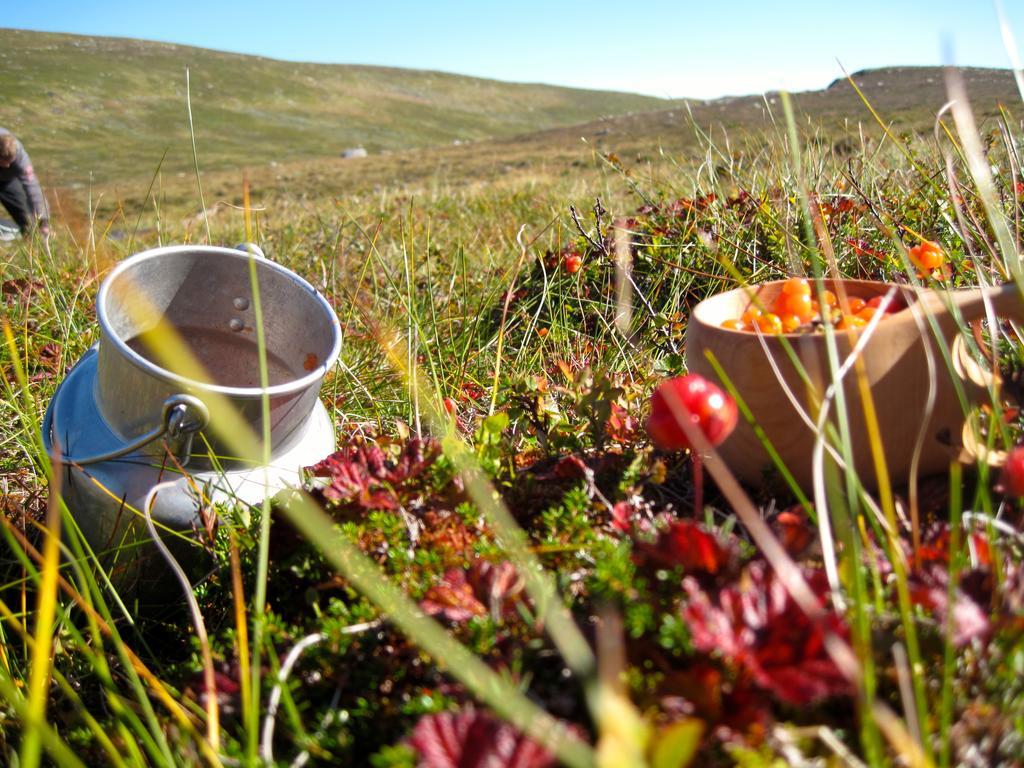 Norefjell - Storhytte Med Jacuzzi Og Fantastisk Beliggenhet Noresund Екстериор снимка