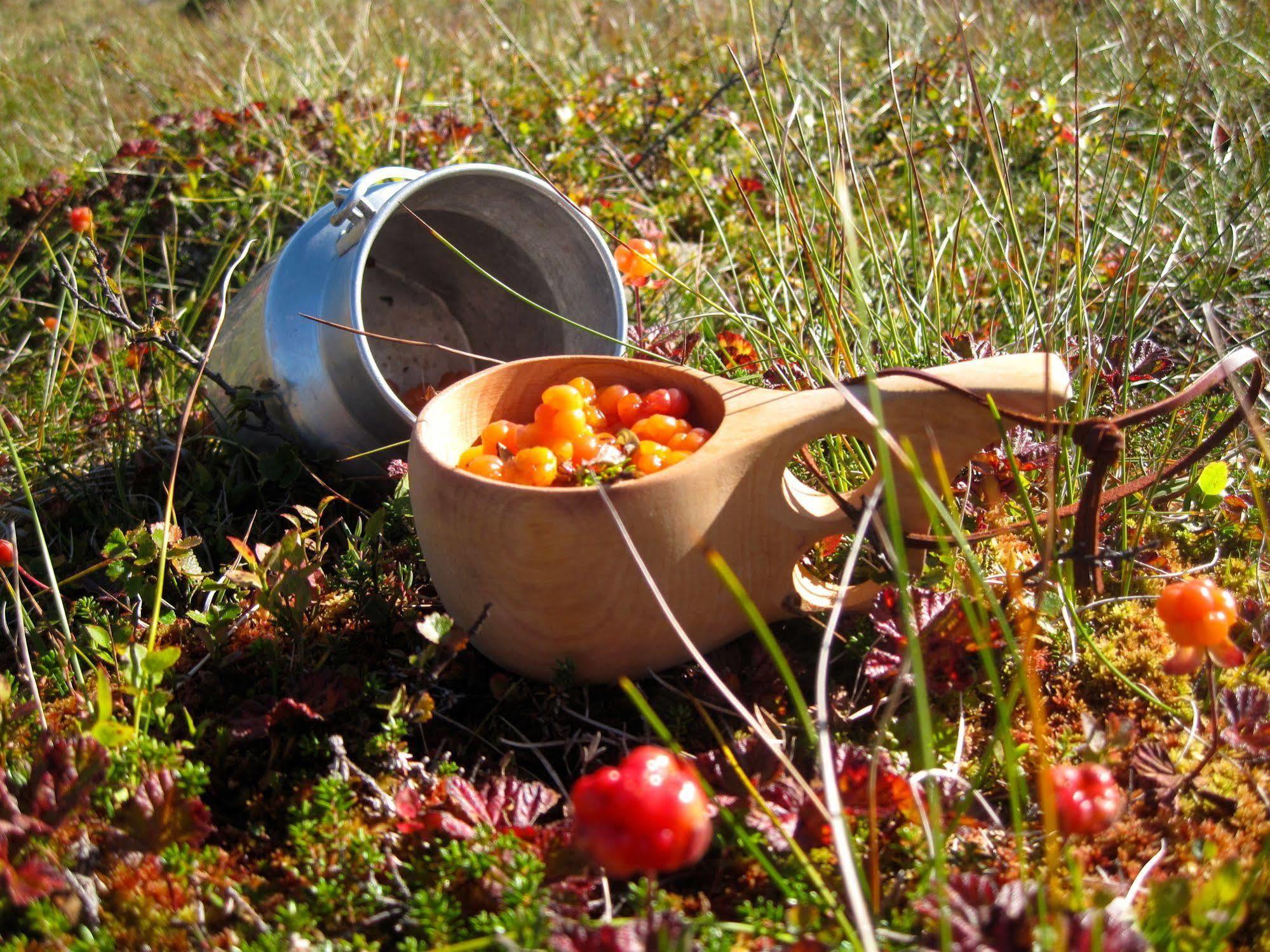 Norefjell - Storhytte Med Jacuzzi Og Fantastisk Beliggenhet Noresund Екстериор снимка